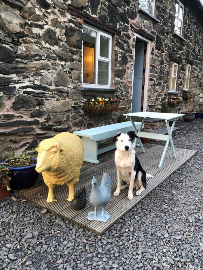 Bryn Glas Wales Villa Llangynog Dış mekan fotoğraf